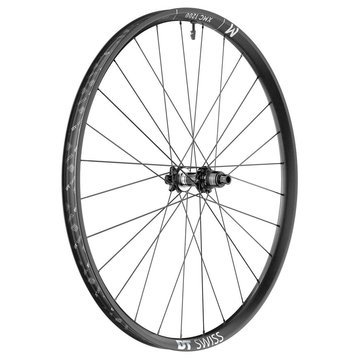 ruote mtb carbonio dtswiss 2024
